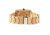 Earth Ew2601 Trunk Watch ETHEW2601