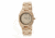 Earth Medullary Ray Wooden Watch, Khaki/Tan, Men ETHEW1901