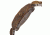Earth Medullary Ray Wooden Watch, Olive, Unisex ETHEW1904