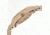 Earth Pith Wooden Unisex Watch, Khaki/Tan ETHEW1801