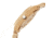Earth Sapwood Unisex Watch, Khaki/Tan ETHEW1601