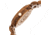 Earth Wood Biscayne Wood Bracelet Watch w/Date, Light Brown, Standard, ETHEW4205