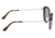 Earth Wood Oreti Polarized Sunglass, Espresso/Black, One Size, ESG037BK