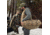 Eberlestock 60.5L Basin Pack, Dry Earth, B7ME