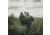 Eberlestock Just One Backpack, Mountain, J24HM