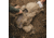 Eberlestock Just One Backpack, Mountain, J24HM