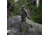 Eberlestock M5 Team Elk Pack, Hide Open Timber Veil M5HT