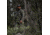 Eberlestock M5 Team Elk Pack, Hide Open Timber Veil M5HT