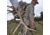Eberlestock M5 Team Elk Pack, Hide Open Western Slope M5HP