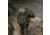 Eberlestock Mission Assault Pack, Multicam, MA1MM