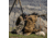 Eberlestock Mission Assault Pack, Multicam, MA1MM
