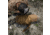 Eberlestock Mission Assault Pack, Multicam, MA1MM