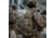 Eberlestock Mission Assault Pack, Multicam, MA1MM