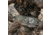 Eberlestock Mission Wings, Coyote Brown, MW1MC