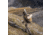 Eberlestock Scoped Rifle Side Scabbard, Mirage, A2LSHR