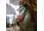 Eberlestock Selway Merino Quarter Zip Baselayer, Loden, Large, SSLL