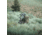 Eberlestock Vapor 2500, Mountain, 2500 C.I., V25AM-V2