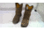 EDEMO Georgia Boot Over Time Waterproof 10 inch Pull-On Work Boot - Men's, Brown, 13 Wide, GB00523-130W, EDEMO1