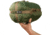 Elite Survival Systems Recon 4 Sleeping Bags