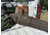 Evolution Outdoor Rawhide Series Waxed Canvas Rifle Case, 48in, 44347-EV