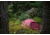 Exped Vega Tent w/ Footprint