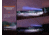 Fenix Lighting HT32 Lithium Ion 2500 Lumens Flashlight