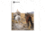Field Ethos Journal Annual Subscription, Print Publication, Multi, ETHO-210000-03S