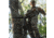 First Lite 308 Whitetail Pants - Mens