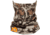 First Lite Aerowool Neck Gaiter