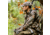 First Lite Furnace Quarter Zip - Mens