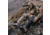 First Lite Omen Stormshelter Pants - Mens