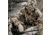 First Lite Rugged Wool Full Zip Jacket - Mens