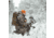 First Lite Thermic Insulated Jacket - Mens
