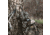 First Lite Transfer Lite Pack