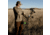 First Lite Yuma Synthetic Long Sleeve Crew - Mens