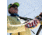 Fish Monkey Stubby Guide Gloves, Americana, 2XL, FM18-AMER-XXL