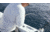 Fitzgerald Fishing Stunner HD Saltwater Series Spinning, XX Heavy Conventional, Black, 5ft8in, ST58XXH
