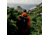 Fjallraven Abisko Hike Foldsack Backpack, Iron Grey, One Size, F27222-048-One Size