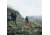Fjallraven Abisko Midsummer Jacket - Womens, Indigo Blue/Dark Navy, Small, F89826-534-555-S