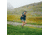 Fjallraven Abisko Midsummer Skort - Womens, Patina Green, 42, F84780-614-42