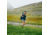 Fjallraven Abisko Wool Short Sleeve - Womens, Black, Small, F84101-550-S