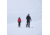 Fjallraven Expedition X-Latt Jacket - Mens, Deep Forest, Large, F86333-662-L