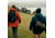 Fjallraven Skule 28 Backpack, Black, One Size, F23346-550-One Size