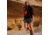 Fjallraven Vardag Shorts - Womens, Green, 48, F87105-620-48