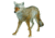 Flambeau Master Series Lone Howler Coyote Decoy, 5985MS