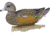 Flambeau Classic Wigeon Decoy