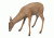 Flambeau Grazing Doe Decoy, Brown 5967GD