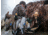 Flambeau Gunning Series Mallard Decoy
