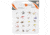 Fly Assortment South Bend 20pk Assorted Flies , SBFLY20