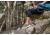 Forsake Thatcher Low Top Hiking Boots - Women's, Stone, 7.5, WSS21TL3-275-75